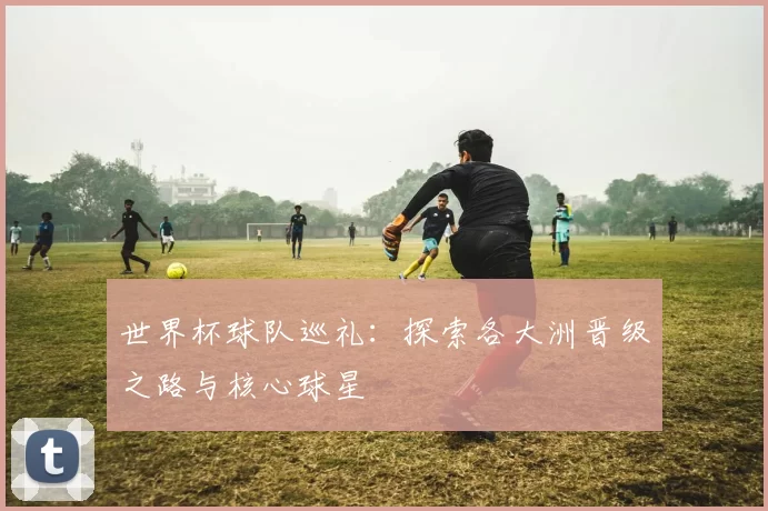 世界杯球队巡礼:探索各大洲晋级之路与核心球星