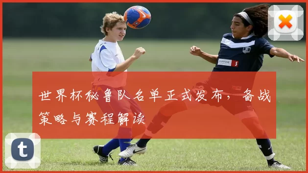 世界杯秘鲁队名单正式发布,备战策略与赛程解读