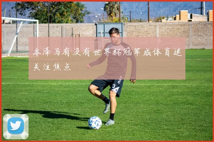 本泽马有没有世界杯冠军成体育迷关注焦点