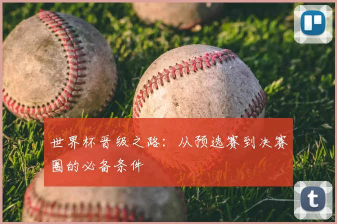 世界杯晋级之路:从预选赛到决赛圈的必备条件