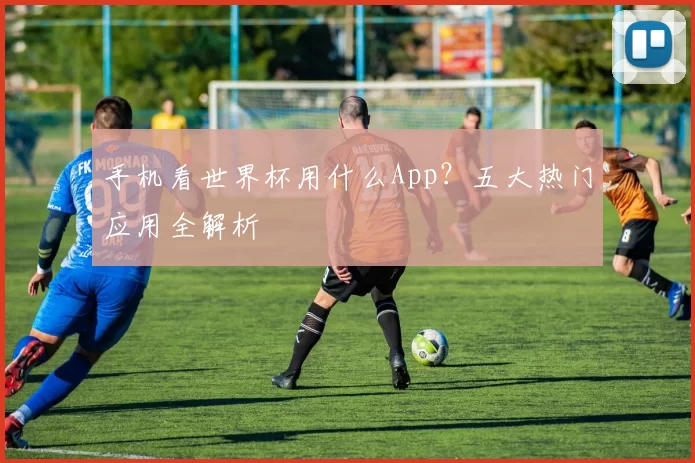 手机看世界杯用什么App?五大热门应用全解析