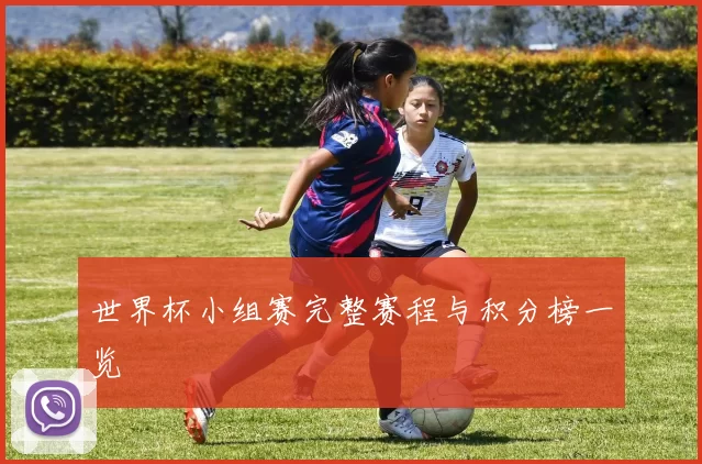 世界杯小组赛完整赛程与积分榜一览