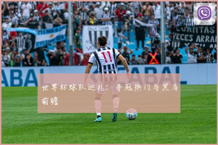 世界杯球队巡礼:夺冠热门与黑马前瞻