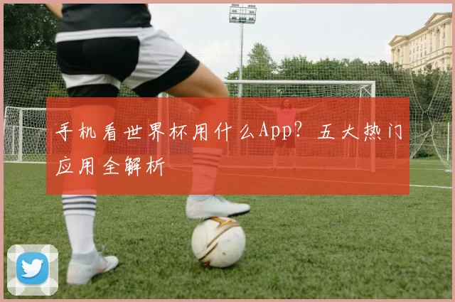 手机看世界杯用什么App?五大热门应用全解析