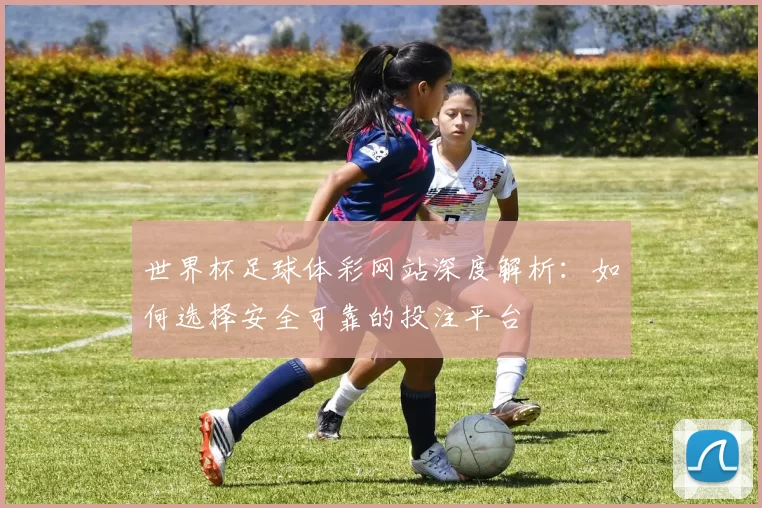 世界杯足球体彩网站深度解析:如何选择安全可靠的投注平台