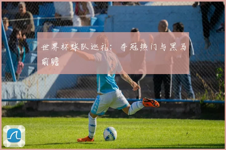 世界杯球队巡礼:夺冠热门与黑马前瞻