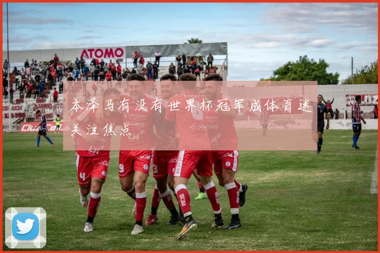 本泽马有没有世界杯冠军成体育迷关注焦点